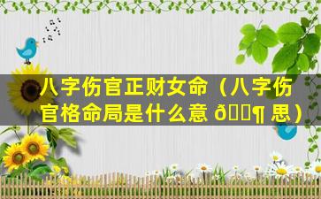 八字伤官正财女命（八字伤官格命局是什么意 🐶 思）